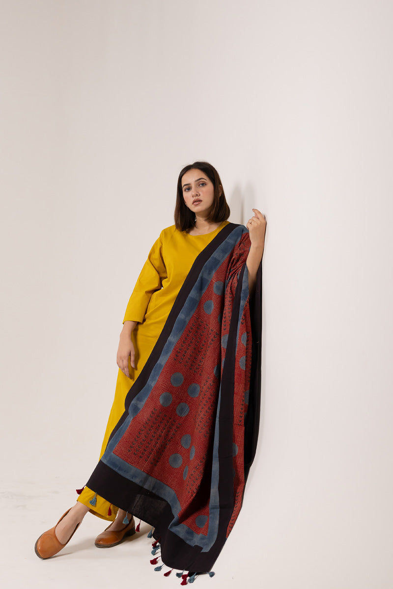 Set of 3 - Kurta, Dupatta & Pants - Earthy Echoes 01